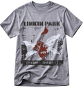 Hybrid Theory